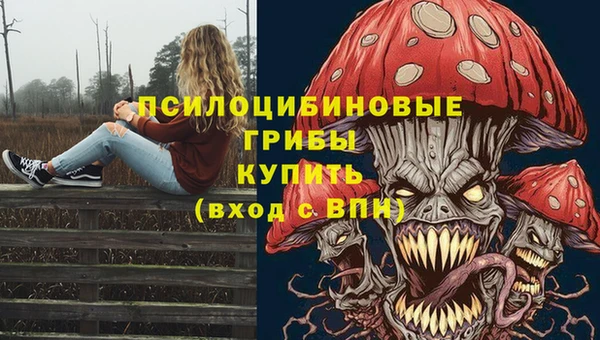 МДМА Долгопрудный
