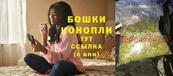 мдпв Майский