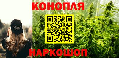 МДПВ Пушкино