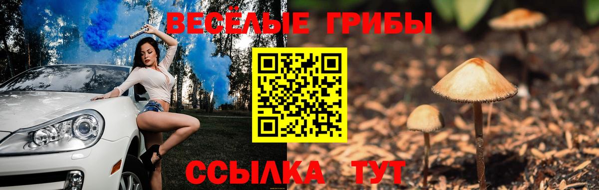 Псилоцибиновые грибы ЛСД  Вход с VPN  Снежинск 